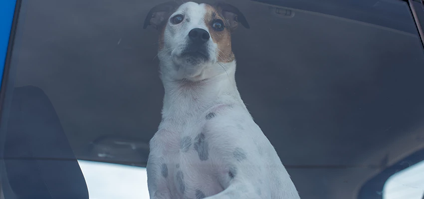 Car Lockout Solutions in Cypress, California