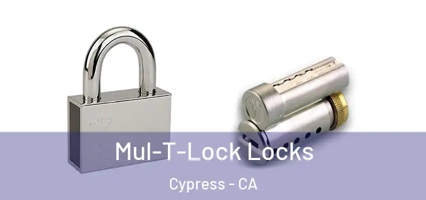  Mul-T-Lock Locks Cypress - CA