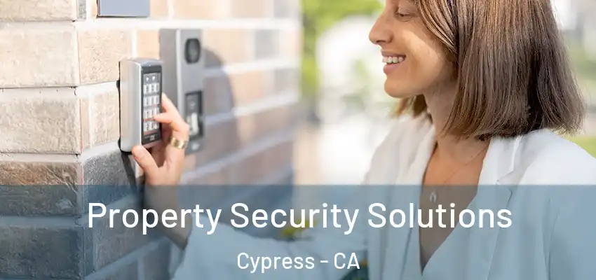 Property Security Solutions Cypress - CA